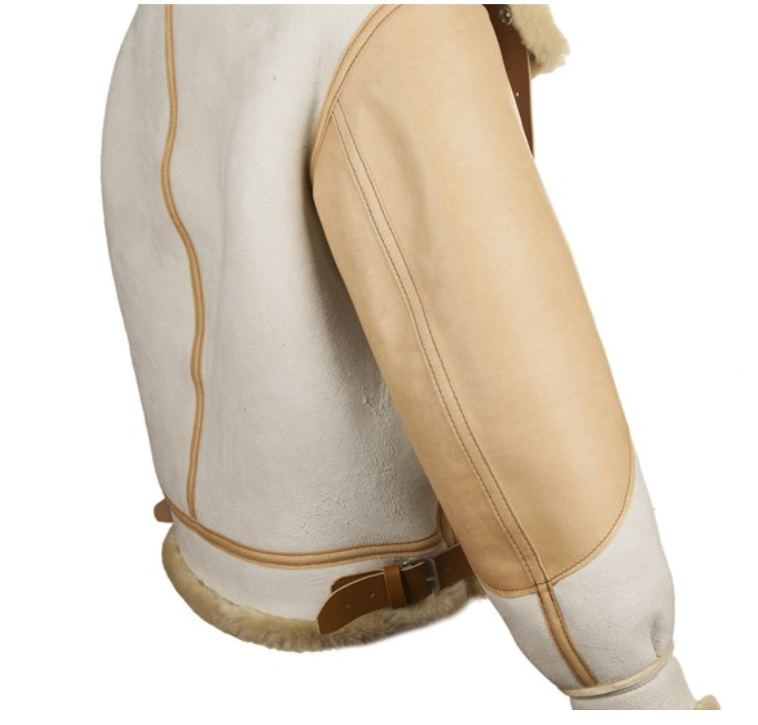 Aero Masters of the Air Type B-3